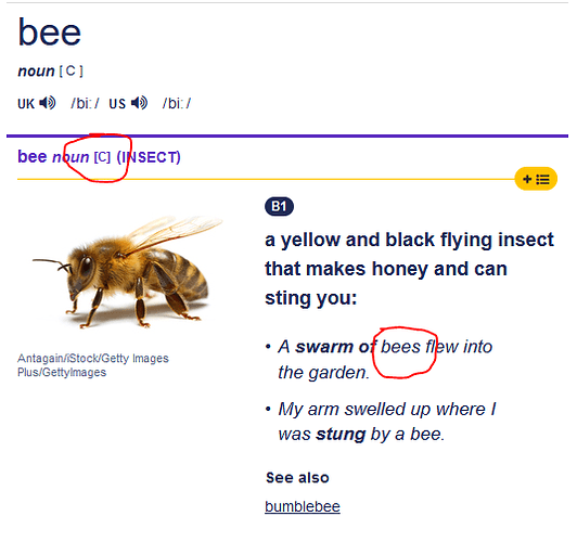 bee