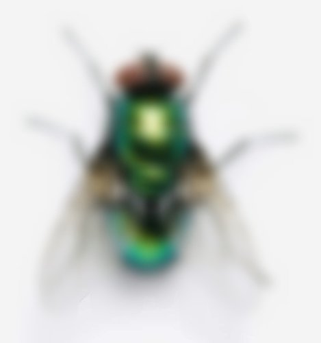 Screenshot_20200504-203255_Facebook_Mosaic_12_34_25