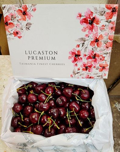 塔斯曼尼亞車厘子2021│入手攻略！新年果欄格價+品種推介+防偽新招