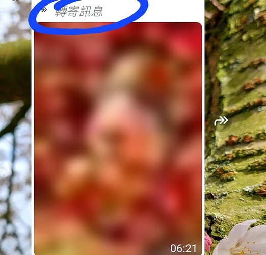 1000165267