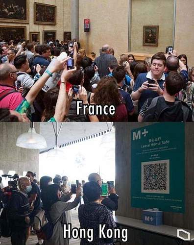 FB_IMG_1636767076894
