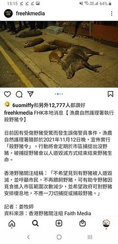 Screenshot_20211114-151559_Instagram