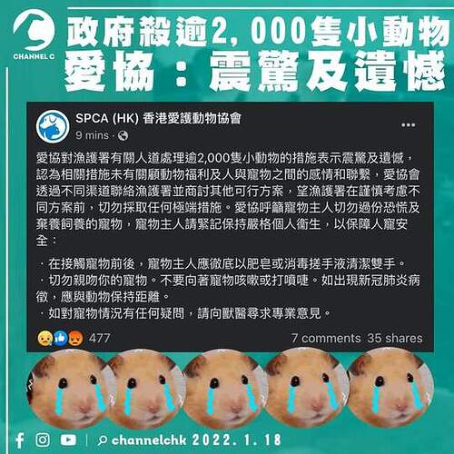FB_IMG_1642510897991
