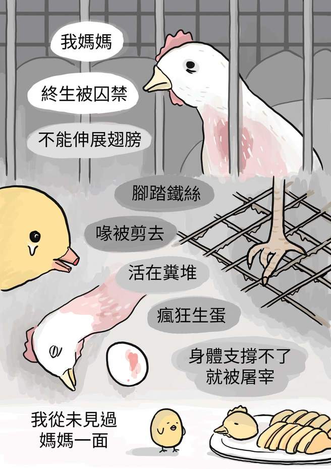 FB_IMG_1521643349004