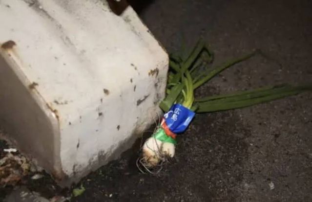 蘿蔔突然消失無蹤,被換上一棵來自廣島縣嘅大蔥。 (圖:網上圖片)