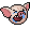#wail2#pig