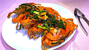 crab photo