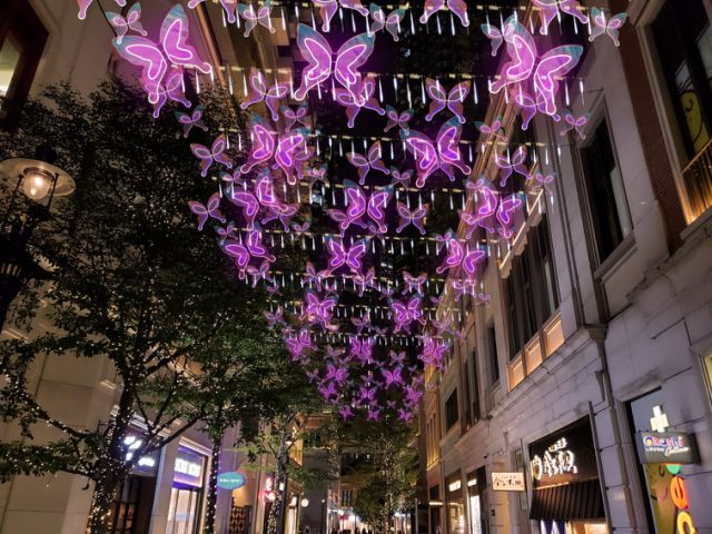 每隻蝴蝶會因應當時的時間、天氣、溫度、濕度而改變產生多變的光影照明模式。