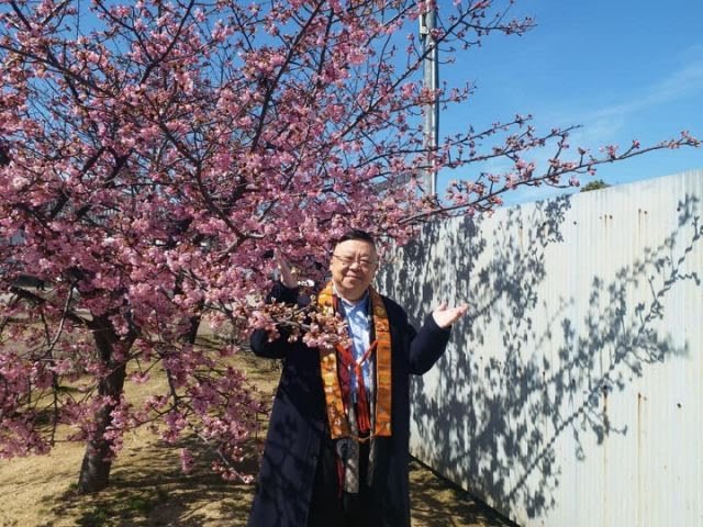 龍珠dragon ball 神龍