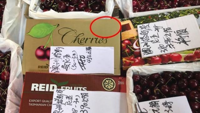塔斯曼尼亞車厘子2021│入手攻略!新年果欄格價+品種推介+防偽新招