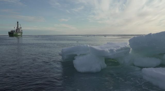 愈少海冰亦同時導致海水溫度升高,形成「惡性循環」。 (圖:Danish Meteorological Institute)